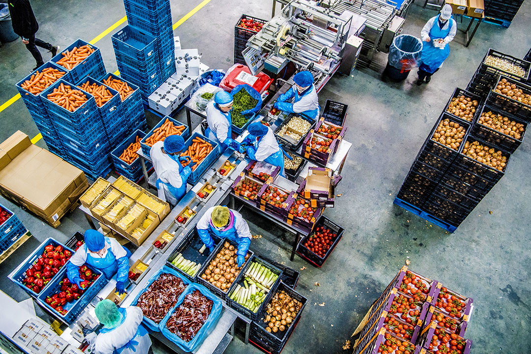 Groothandel in groente en fruit. Handelaren in voedingsmiddelen realiseerden met 6% de grootste stijging in vergelijking met vorig jaar. Foto: ANP