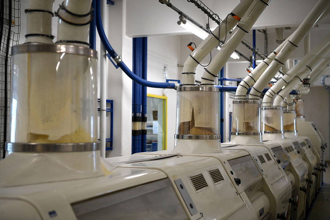 Verwerking van tarwe in een pastafabriek. - Foto: ANP - Foto: "Jean-Pierre Clatot"