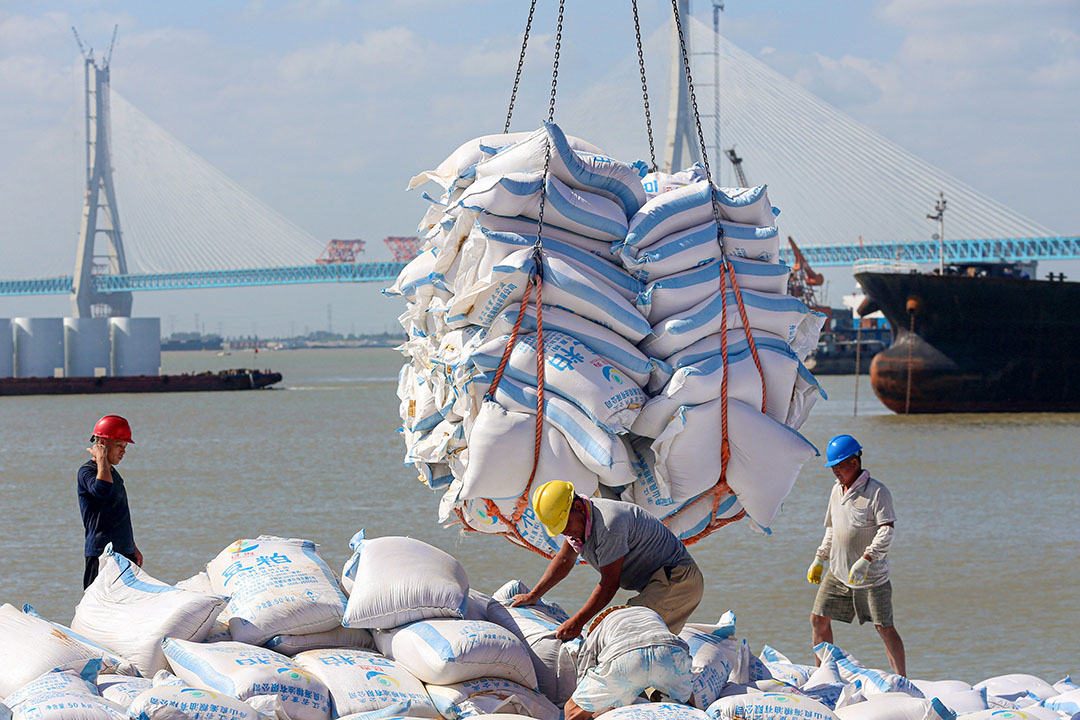 Werknemers lossen sojabonen in een Chinese haven. - Foto: ANP - Foto: Str