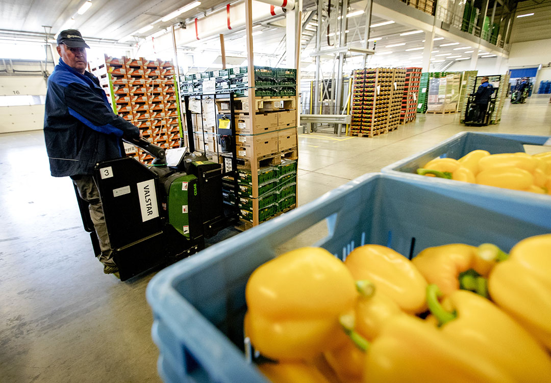 Kisten met groenten en fruit worden gereedgemaakt voor de export. - Foto: ANP