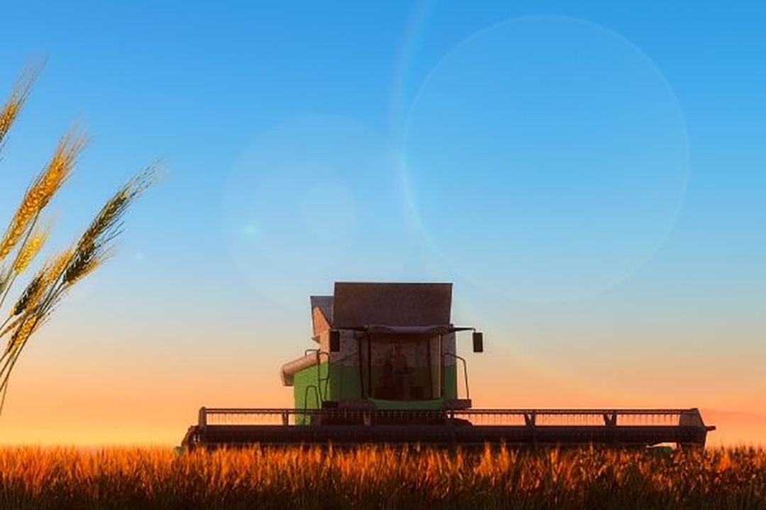 Tien jaar geleden (seizoen 2009-2010) stelde Rusland nog weinig voor op de graanmarkt. Inmiddels is het land de grootste exporteur van tarwe in de wereld. - Foto: Canva