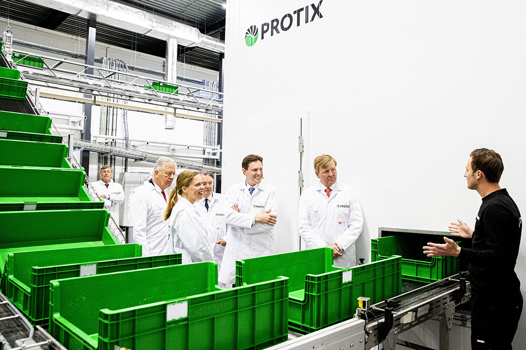 Koning Willem-Alexander kreeg vorig jaar een rondleiding door de nieuwe insectenkwekerij van Protix in Bergen op Zoom. - Foto: ANP