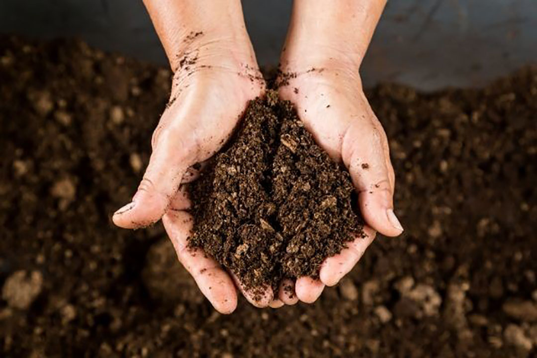 Den Ouden produceert onder andere compost voor tuinen. - Foto: Canva