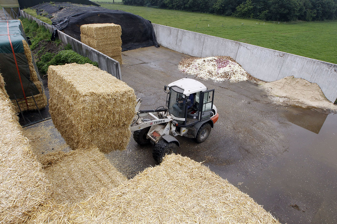 Foeragehandel levert stro af op melkveebedrijf. (Archiefbeeld.) - Foto: Bert Jansen