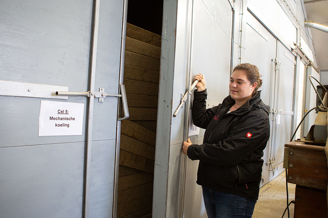 Onderzoeksleider Dominique Cammaert bij een van de bewaarcellen op de Rusthoeve waar Delphy alternatieve kiemremmers onderzoekt. - Foto: Peter Roek