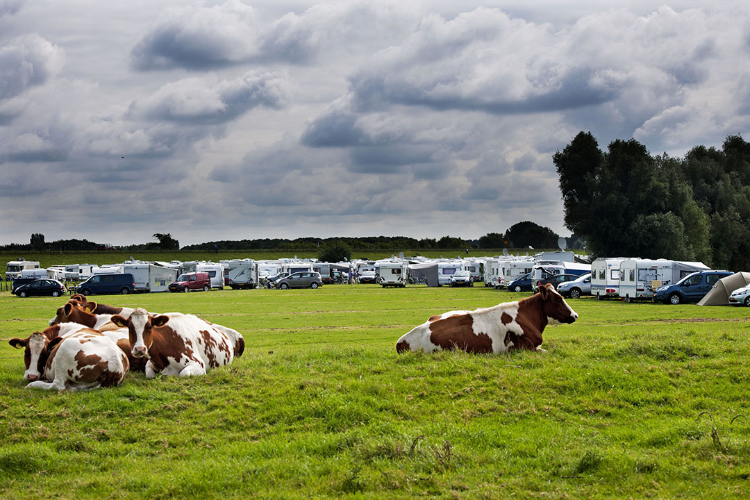 Kamperen bij de boer kan in Nederland op zo'n 2.000 locaties. - Foto: ANP