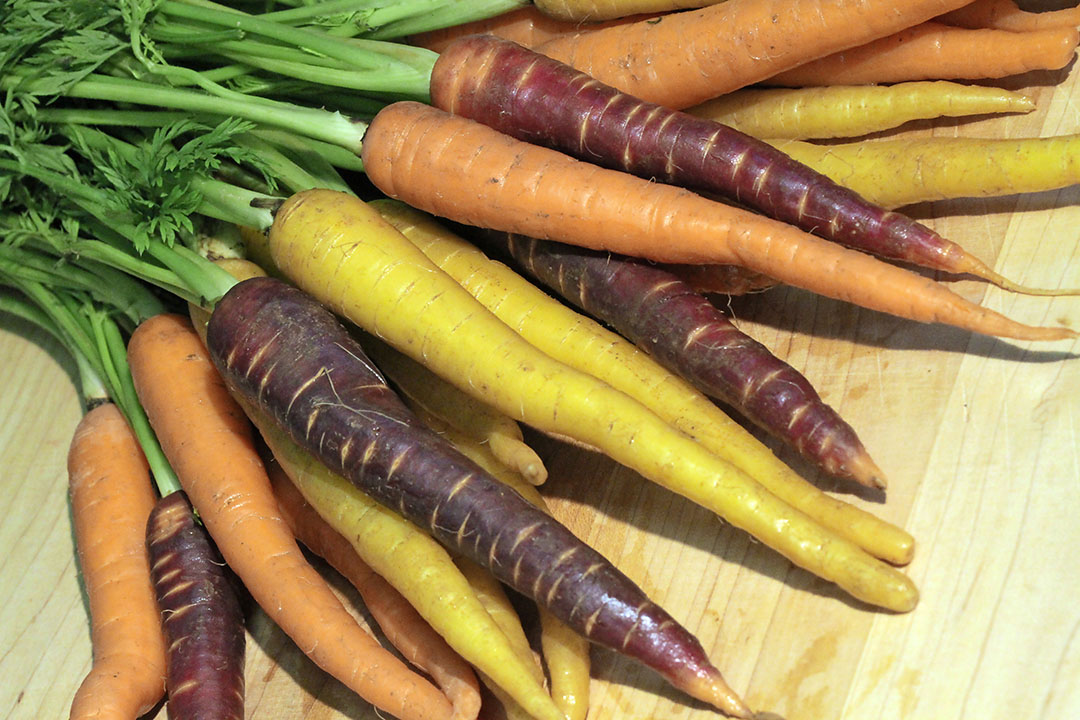 Diversiteit aan wortelen. - Foto: Frankgbarnett