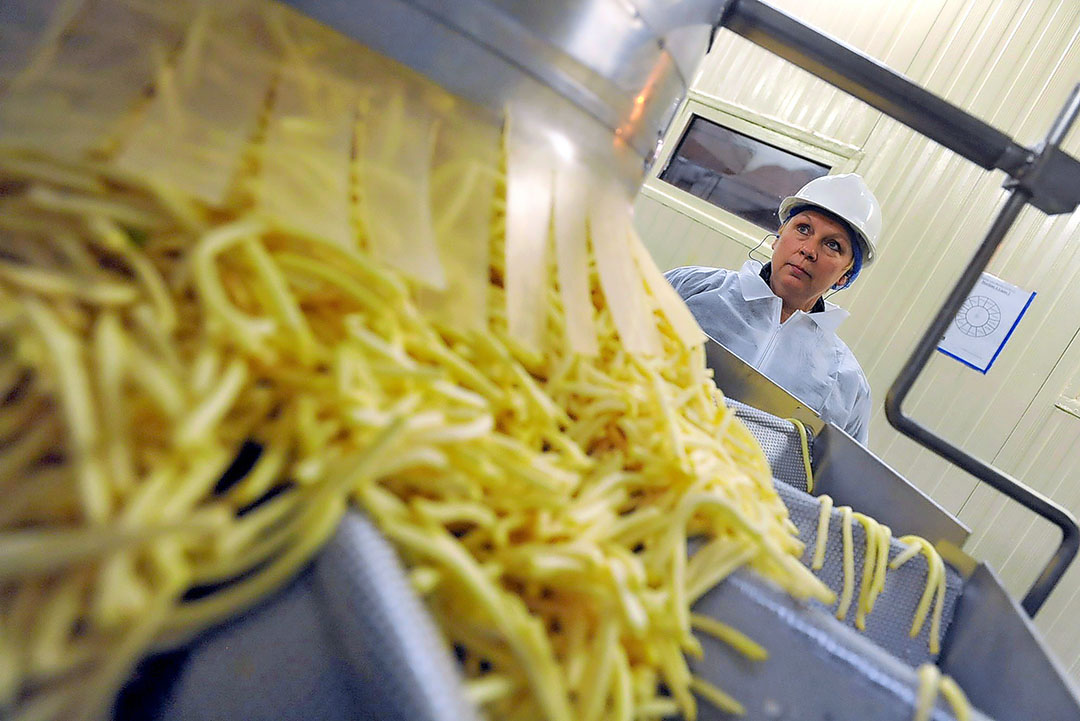 Kwaliteitscontrole in een fritesfabriek van McCain. De import van goedkope frites zou grote gevolgen hebben voor de aardappelverwerkende fabrieken van McCain and Simplot op Tasmanië. Foto: ANP