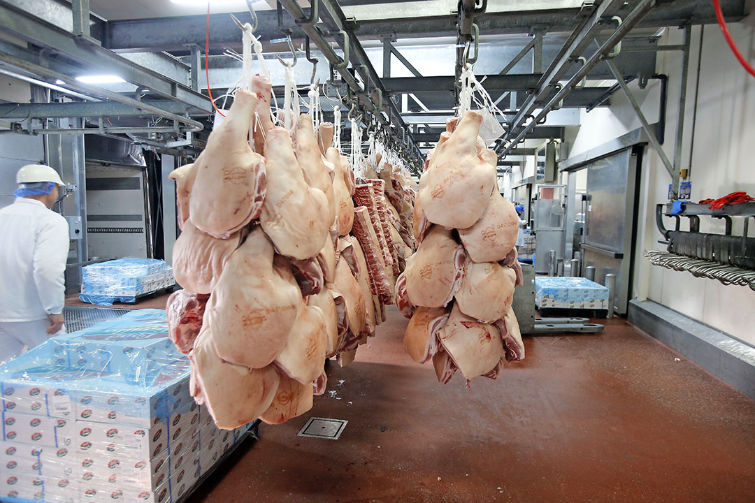 Varkensvlees voor export bij Vion. De importstop van China kan gevolgen hebben voor de varkensprijs. - Foto: Bert Jansen