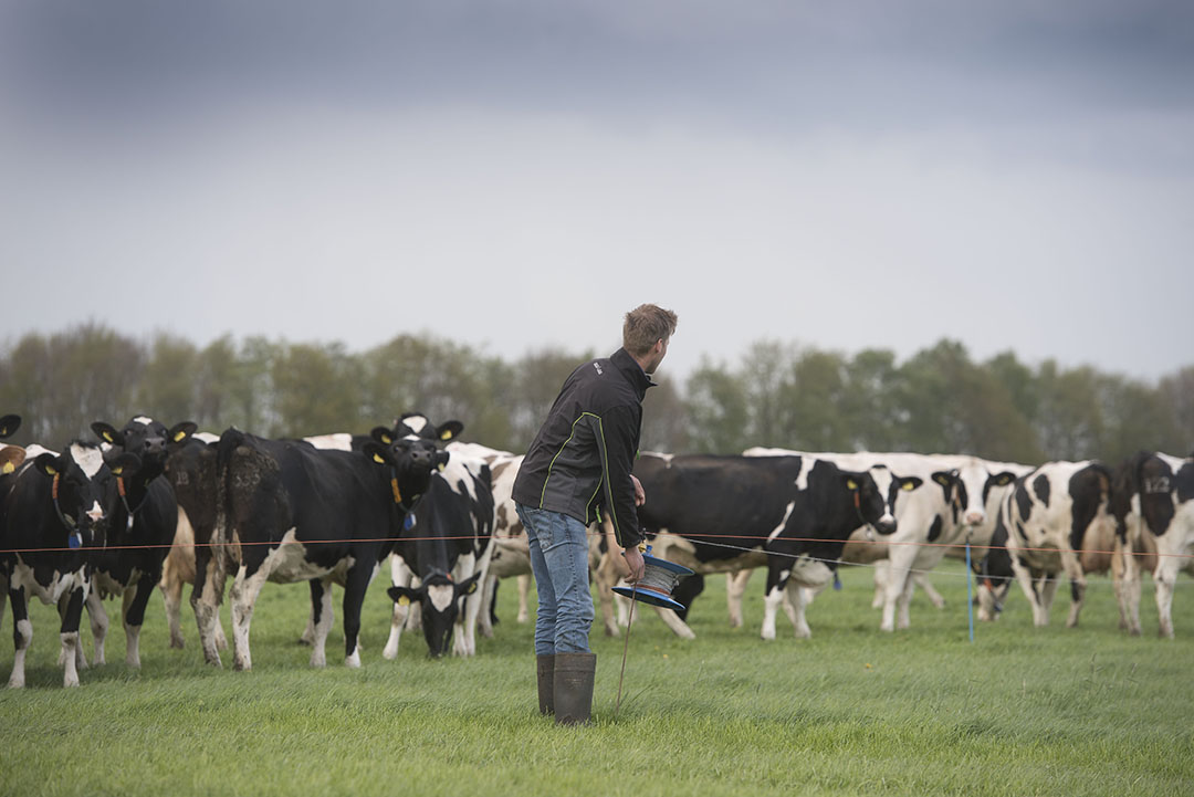 Uit de cijfers van Flynth komt naar voren dat melkveehouders met een beweidingstijd van 120 tot 201 dagen de hoogste saldo’s realiseren. Zowel korter als langer beweiden geeft een druk op het saldo.