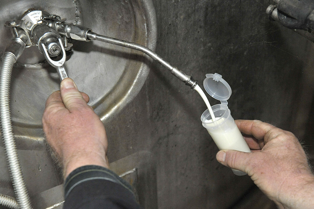 KoeMonitor is een systeem van de zuivelsector zelf en geen onafhankelijk geborgde systematiek om de melkkwaliteit te bewaken. - Foto: Fotopersburo Dijkstra