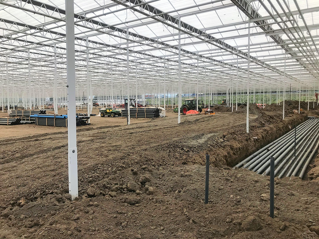 Na de dip van de economische crisis verliep de gronduitgifte bij tuinbouwlocatie Nieuw Prinsenland vlot. - Foto: Piet Janmaat
