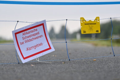 De Duitse deelstaat breidde één van de drie kernzones door een voorlopige afrastering - hier over een weg in de Oderbruch - uit. - Foto: ANP