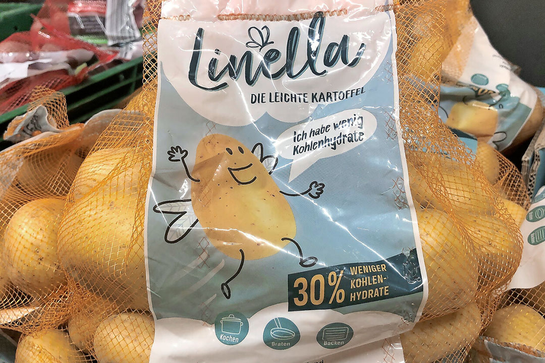 Het aardappelras Coronada van Europlant bevat minder koolhydraten en ligt in Duitsland in de supermarkt onder de merknaam Linella. - Foto: Europlant