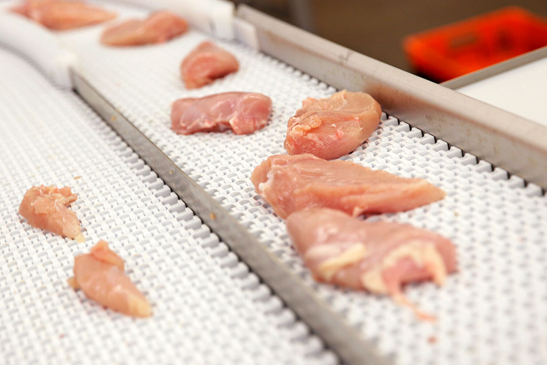 Pluimveevlees. Uit onderzoek van Interpol en Europol bleek onder meer dat illegaal kip uit gebieden met vogelgriep is uitgevoerd. - Foto: Michel Zoeter