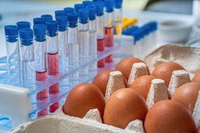 Bij een salmonella-detectie worden alle eieren, die geproduceerd zijn sinds de datum van monstername, door de NVWA verdacht verklaard. - Foto: Canva