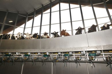 Vreba Melkvee is het grootste melkveebedrijf van Nederland met ruim 2.500 koeien en runt naast de boerderij in Vredepeel diverse andere melkveebedrijven. Foto: Hans Prinsen