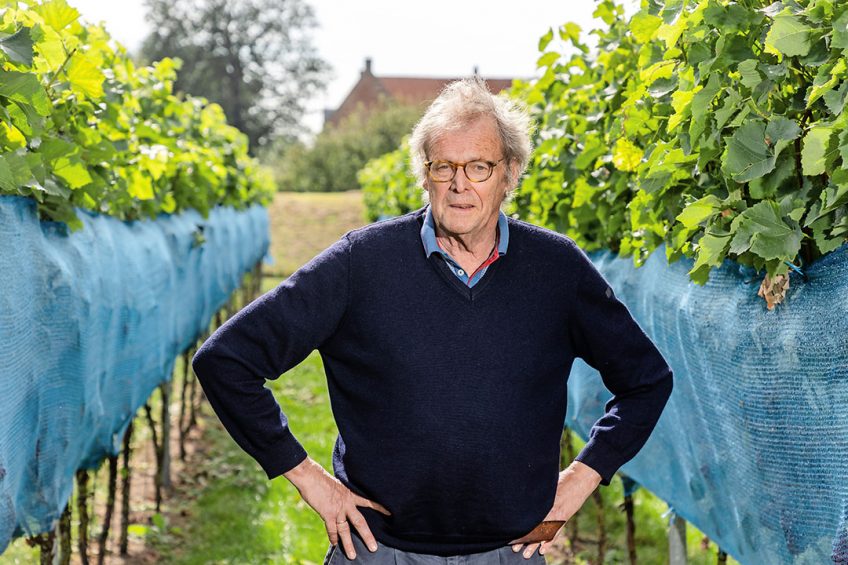 Nederlandse wijnproducenten