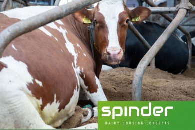Spinder nieuwe partner Dairy Academy