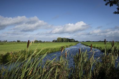 AgriNl wil zowel een oplossing voor de stikstofproblematiek, als perspectief voor landbouw en ruimte voor natuur. - Foto: Roel Dijkstra