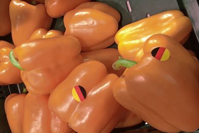 Paprika's. Doel van Die Frischen is om de kwaliteit en de herkomst van groenten en fruit uit regio Venlo onder de aandacht te brengen van Duitse retailers en consumenten. - Foto: Ton van der Scheer
