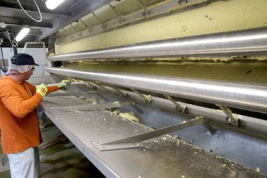 De productielijn voor aardappelpuree in een fabriek van Mousline. - Foto: ANP