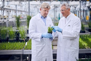 BASF Agricultural Solutions besteedde in het 3e kwartaal € 223 miljoen aan onderzoek en ontwikkeling (R&D). Dat was 8% meer dan in hetzelfde kwartaal van vorig jaar. - Foto: BASF