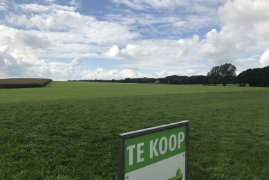 Landelijk zakt de gemiddelde prijs voor grasland tot net onder de € 63.000 per hectare.  - Foto: Martijn ter Horst