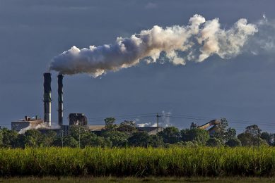 De dalende suikerprijzen hebben geleid tot de sluiting van twee suikerfabrieken in het Australische Queensland. Foto: Canva