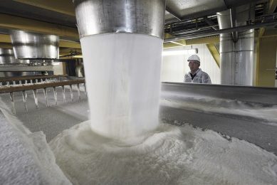 Productie van suiker. - Foto: ANP