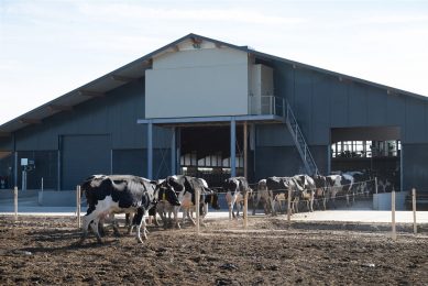 De stikstofvervluchtiging uit stallen is gedaald door het gebruik van emissiearmere technieken zoals luchtwassers, zoals hier bij een koeienstal. - Foto: ANP
