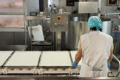 Over de 11 maanden in 2021, die nu bekend zijn, blijft de productie van consumptiemelkproducten en kaas iets achter op 2020. - Foto: Canva