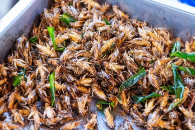 Door de groeiende wereldbevolking en eiwitconsumptie neemt de vraag naar nieuwe duurzame eiwitbronnen voor voeding toe, zoals insecten. Foto: Canva