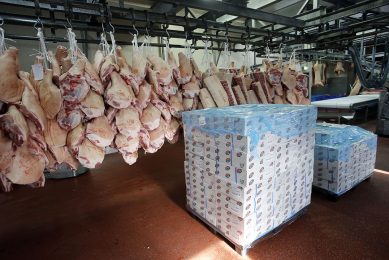 Inpakken van varkensvlees voor export. Foto: Bert Jansen