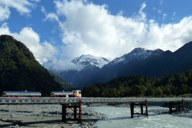 Biologische zuivel vertegenwoordigt binnen biologisch in Nieuw-Zeeland, met een bedrag van bijna € 93 miljoen, de hoogste exportwaarde. Foto: Canva