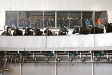 Bezoekers van het jaarlijkse event bij Vreba kijken hun ogen uit bij de 80-stands melkstal waarin de koeien drie keer per dag worden gemolken. Foto: Hans Prinsen