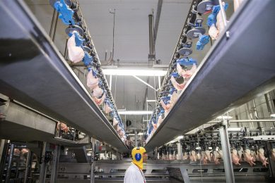 's Werelds grootste exporteur van pluimveevlees, BRF, verkocht vorige week 270 miljoen nieuwe aandelen tegen een prijs die 7,5% lager lag dan de slotkoers van vorige week dinsdag. Foto: ANP