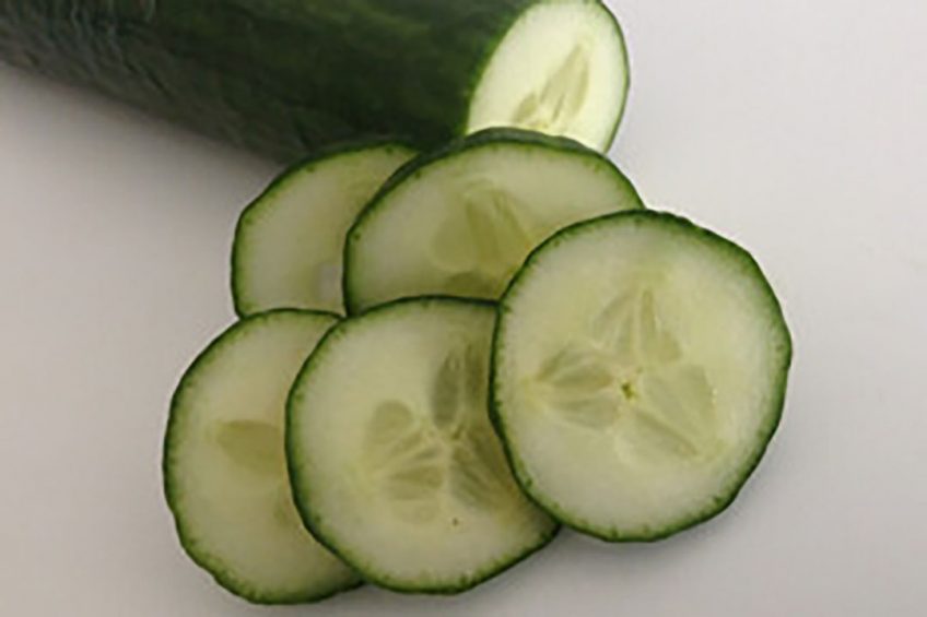 Voor lange komkommers bestond al een eetbare coating, nu is die er ook voor snackkomkommers. - Foto: Canva