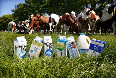 Melkveehouder profiteert onvoldoende van prijsstijging zuivel