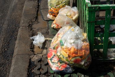 Uit een analyse van het gesorteerde afval blijkt dat consumenten in 2019 17% minder voedsel verspilden ten opzichte van 2016. - Foto: Canva