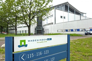 Op agrarisch gebied staat Wageningen Universiteit op nummer 1 in diverse rankings. - Foto: ANP