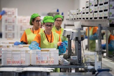 Medewerkers van een Spaans fruitbedrijf sorteren en verpakken appels voor export naar Duitsland. - Foto: ANP