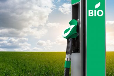De brancheorganisaties weerspreken de gedachte dat biobrandstoffen en voedselvoorziening elkaar in de weg zouden staan. - Foto: Canva