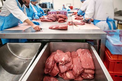 Een tekort aan arbeidskrachten voor de verwerking van rundvlees blijft een probleem in Europa. - Foto: Herbert Wiggerman