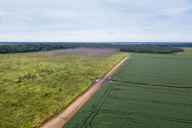 Akker waarop soja wordt verbouwd, aan de rand van het Amazoneregenwoud. - Foto: Canva