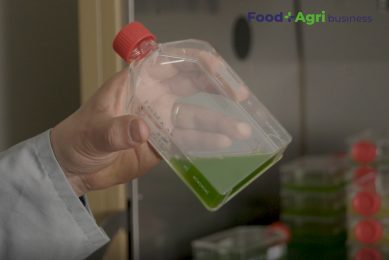 Het kweekproces van microalgen begint in een laboratorium. Daarna gaan de algen naar een grote fermentor. - Beeld: Scriptavideo
