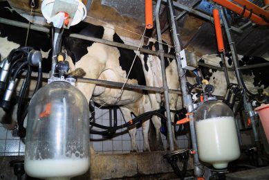 Het productieniveau van gangbare melk lag 1,3% lager dan in februari 2021. Het tekort blijft beperkt doordat de productie van biologische melk steeg. - Foto: Canva/Mayerberg