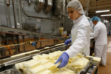 Kaasproductie bij Valio. Het Finse zuivelconcern haalde in 2021 een omzet van € 1,92 miljard. - Foto: Reuters