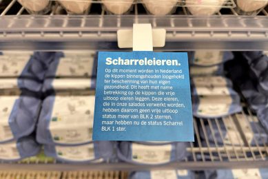 Sinds 16 april moeten vrije-uitloopeieren worden verkocht als scharreleieren. Dat kost pluimveehouders met vrije-uitloophennen duizenden euro’s per week. - Foto: Jan Vullings