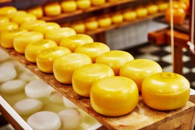 In de kaasproductie blijft het rustig, dat zorgt voor een vrij stabiele prijs voor Goudse rond de € 5,20 per kilo. - Foto: Canva/kadmy